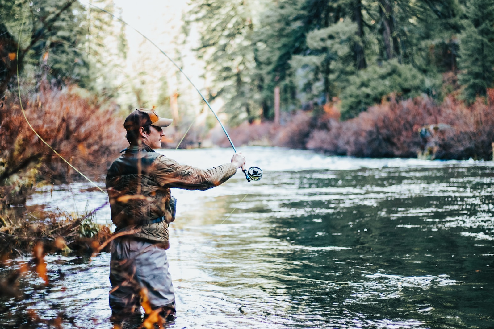 Basic Fly Fishing: All the Skills and Gear You Need to Get Started (How To  Basics) See more