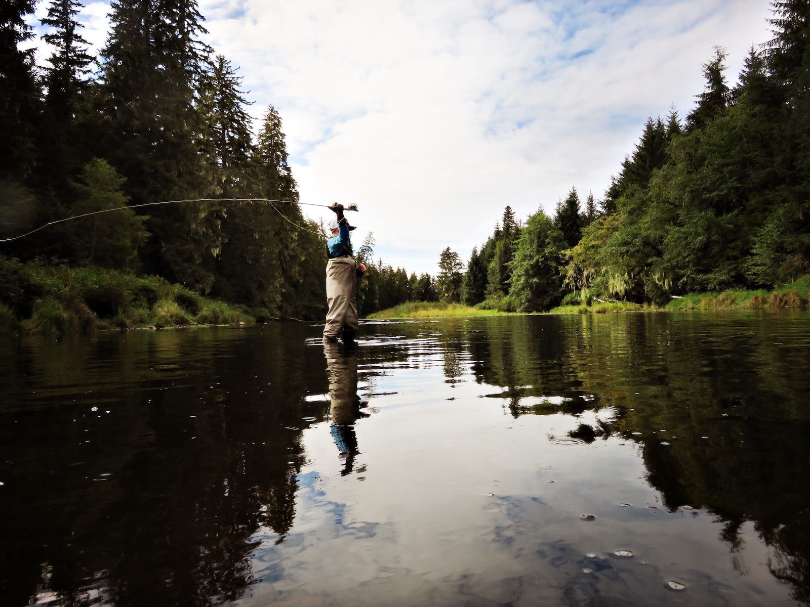 Fly Fishing Ducks 